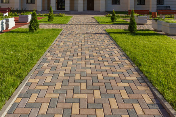 Best Driveway Paving Near Me  in Arcadia, WI